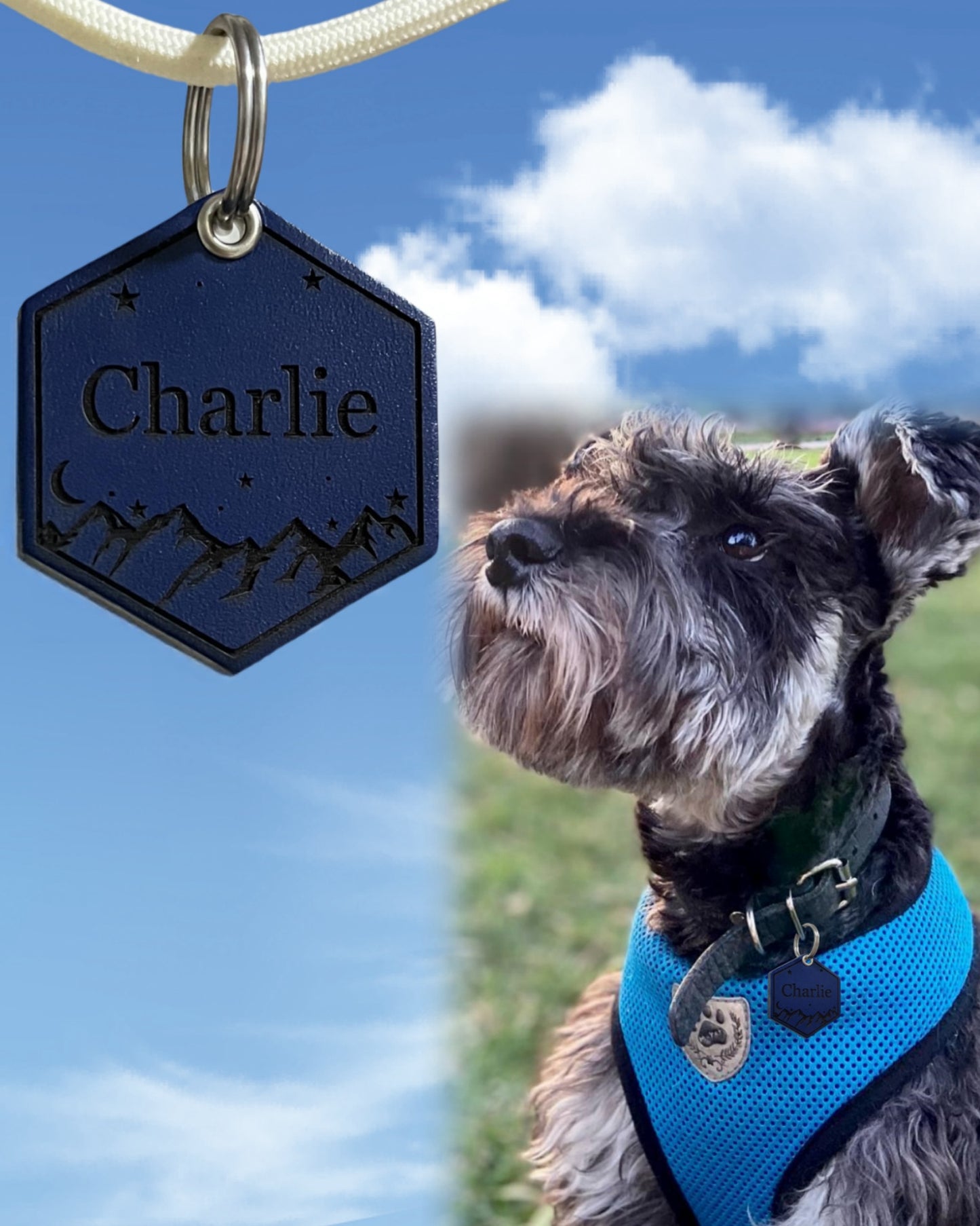 Leather Silent Dog Tags Personalized,Custom Engraved Name Dog Tag Silencer,Large or Small Pet ID Tag for Collar （Navy Blue)